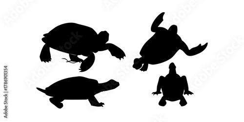 Set of silhouette turtles in various poses on white background.
