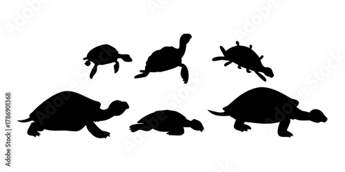 Set of silhouette turtles in various poses on white background.