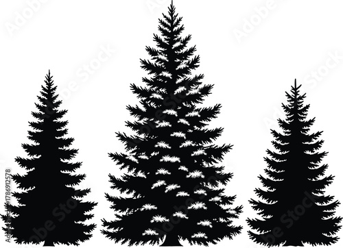 Silhouette of three pine trees in forest landscape, black vector illustration for nature, wilderness, camping, outdoor, and seasonal design themes