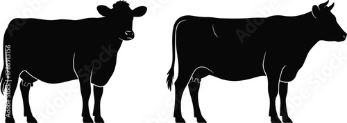 Silhouette of two cows facing opposite directions, livestock vector illustration for farm, agriculture, breed comparison, rural animal design