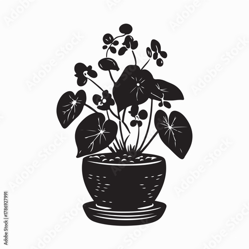 Elegant Potted Begonia Logo Vector Design isolated on white background