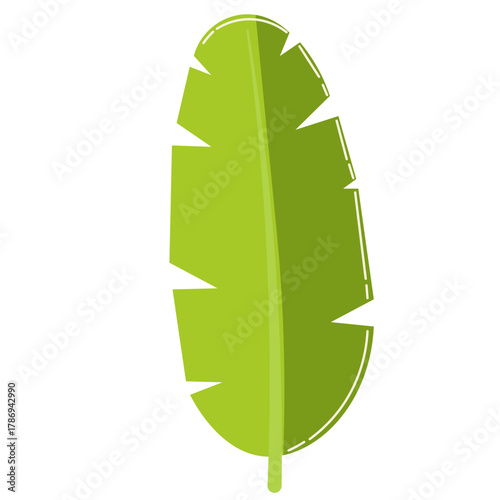 Obraz na plátně Vibrant green elongated leaf with central vein, great for tropical, summer, or nature-inspired visual compositions