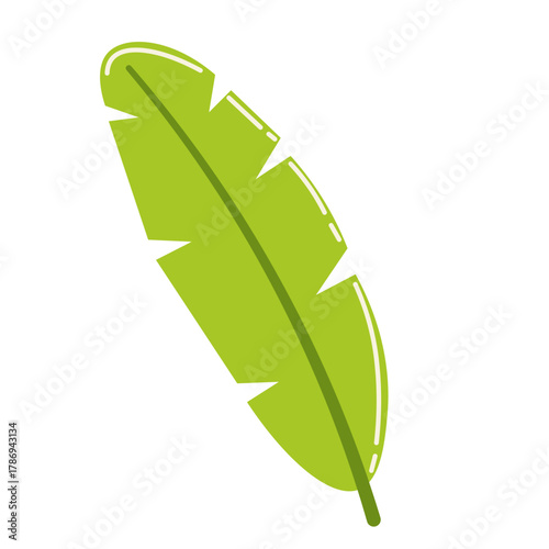 Fototapeta Vibrant green elongated leaf with central vein, great for tropical, summer, or nature-inspired visual compositions