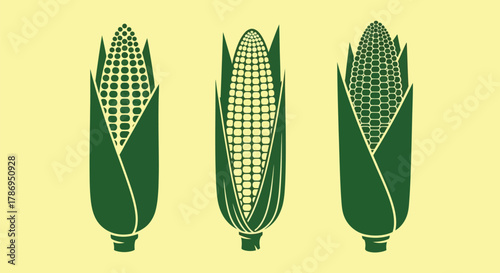 Fresh vibrant corn harvest perfect for summer recipes and food projects