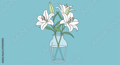 Elegant white lilies bloom beautifully in a clear glass vase, offering serene natural beauty and peaceful ambiance for any project