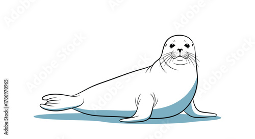 Stylized cartoon illustration of a white seal with black eyes lying on a white background with a blue shadow.