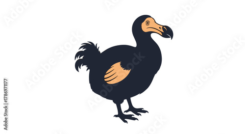 A cartoon illustration of a dodo bird, an extinct flightless bird, with dark feathers and an orange beak, standing on a white background.