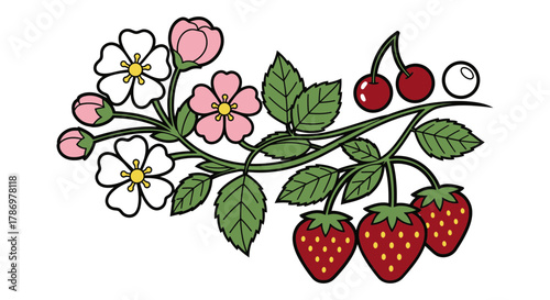 Illustration of strawberry cherry and blossom branch vector image