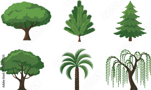 Stylized tree illustration set, deciduous tree, coniferous tree, pine tree, palm tree, willow tree, botanical design, nature clipart, educational vector, landscape element, eco concept