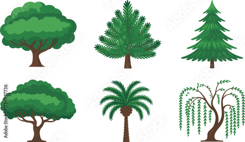Stylized tree illustration collection, deciduous, coniferous, palm, willow, nature design, botanical clipart, landscape element, eco concept, foliage art, educational resource, vector set