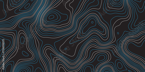 Abstract topographic map pattern with smooth contour lines in dark tones. Modern digital background design with wavy geographic curves, stylish elevation texture for creative projects.