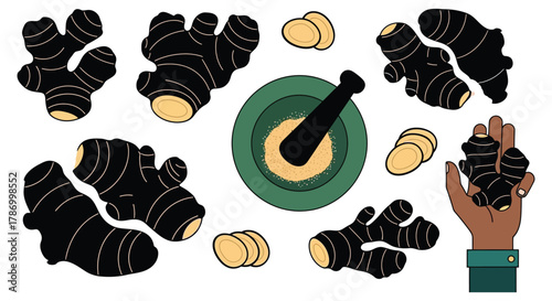 Ginger root benefits and uses fresh ginger spice and ginger powder