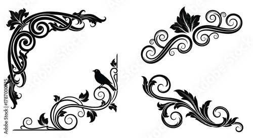 Vector floral corner designs ornamental decorative black and white