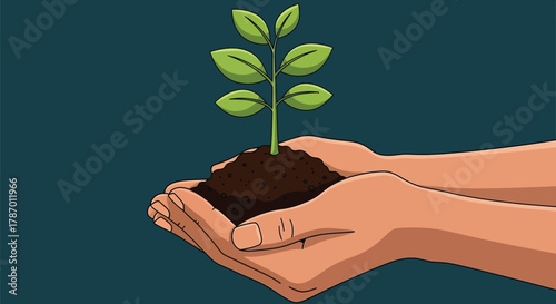 Hands holding plant seedling growth concept nature care environment