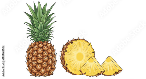 A vivid illustration of whole, halved, and sliced fresh pineapples, showing their green crown and juicy yellow flesh against a clean white background.
