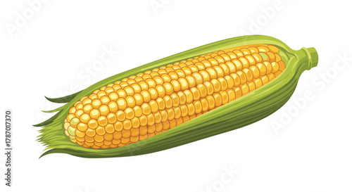 An illustration of a ripe ear of corn, partially shucked to reveal rows of bright yellow kernels, set against a clean white background.