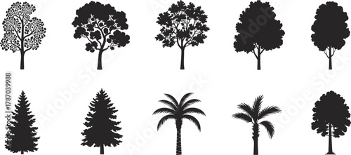 Tree silhouettes collection, deciduous and coniferous forest shapes, tropical palm outlines, botanical illustration set, natural landscape design elements, vector foliage graphic art pack