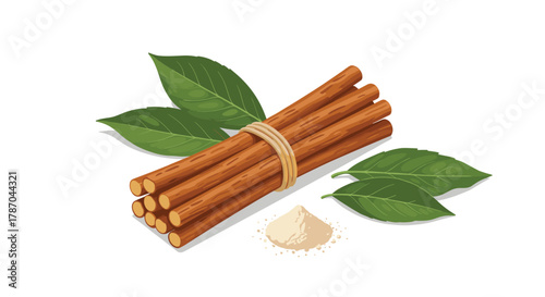 Cinnamon sticks, fresh leaves, and ground powder are depicted, highlighting the versatile forms of this aromatic spice on a clean white background.