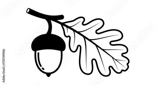 Bold oak leaf and acorn design for autumn projects and nature themes