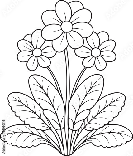 Charming primrose flower bouquet outline drawing with leaves, floral coloring book page design art