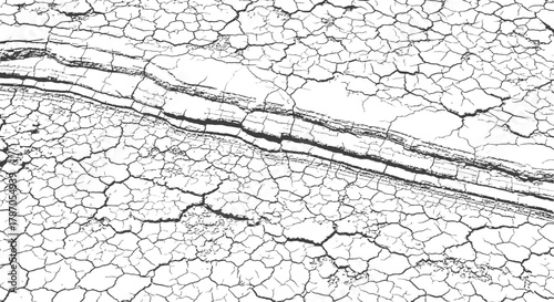 Black and White Cracked Earth Grunge Overlay Vector Texture Abstract Distress Pattern