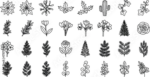 Hand-drawn botanical doodle set for Christmas or winter decoration