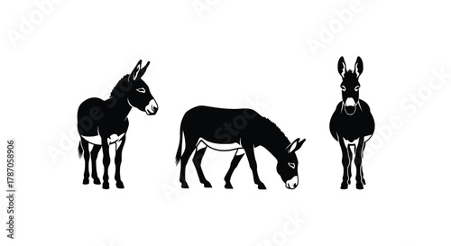 Black and white donkey silhouettes for creative rural designs today