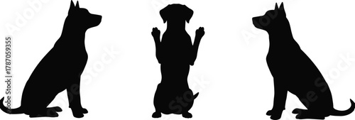 Three Dog Silhouettes Sitting in Different Poses on White Background Highlighting Contrast, Individuality, and Animal Behavior in Vector Style