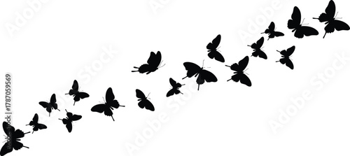 Black silhouette butterflies flying diagonally in motion, abstract nature design for transformation, freedom, elegance, minimal vector art illustration background