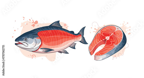 A vibrant illustration of a whole salmon fish alongside a fresh salmon steak, perfect for seafood menus or healthy eating concepts.