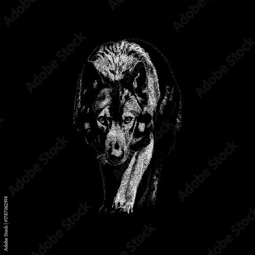 an American Alsatian in a stealthy, stalking pose. The artwork highlights the dog’s muscular build, thick fur, and focused expression with realistic linework, perfect for animal illustrations.