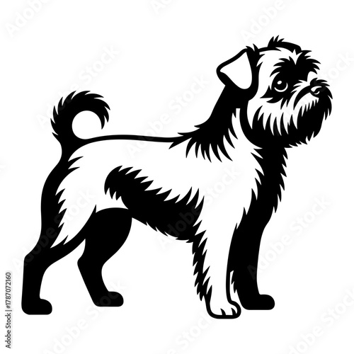 Affenpinscher Dog