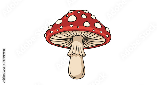A detailed vector illustration of a classic red and white spotted mushroom, featuring a bright cap, visible gills, and a light-colored stalk.
