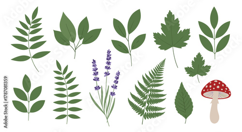 Assortment of botanical elements including diverse green leaves, purple lavender blossoms, and a distinctive red mushroom.
