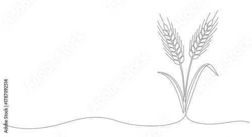 Minimalist line art illustration of two golden wheat stalks with green leaves and a flowing ground line