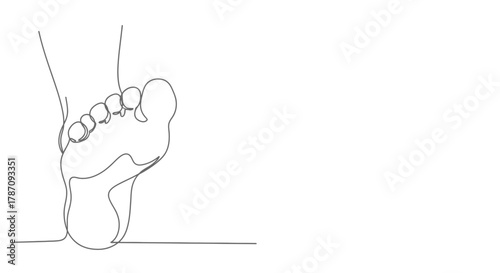 Minimalist continuous line drawing of a human foot with toes and heel on a white background