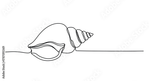 Elegant single line drawing of a detailed seashell with spiral whorls and a flowing opening on a white background