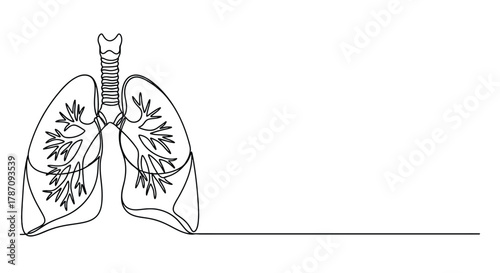 Minimalist continuous line art illustration of human lungs and trachea on a white background