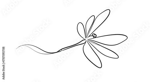Elegant minimalist black line art dragonfly with flowing wings and a long curved tail on a white background