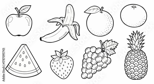 Assortment of Fresh Fruits Line Art Drawing Collection.