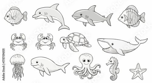 Collection of Hand Drawn Marine Animals and Sea Creatures.
