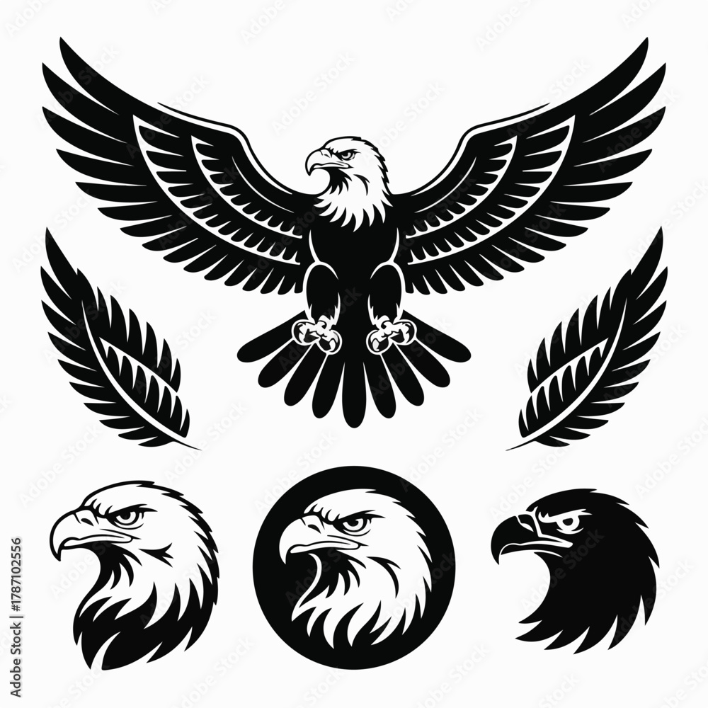 Obraz premium Spreading‑Wings Eagle Illustration Set — Matching Vector Assets