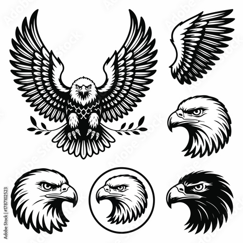 Spreading‑Wings Eagle Illustration Set — Matching Vector Assets