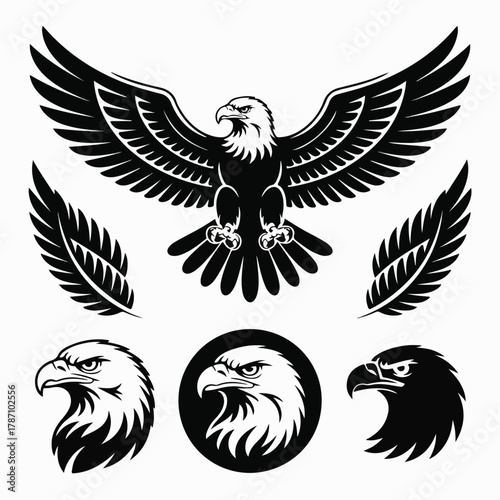 Spreading‑Wings Eagle Illustration Set — Matching Vector Assets