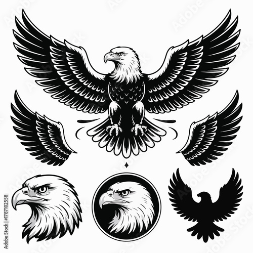 Spreading‑Wings Eagle Illustration Set — Matching Vector Assets