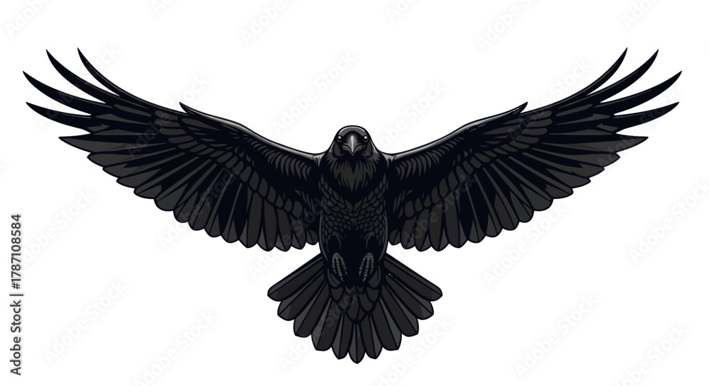 Obraz premium Adobe Illustrator Artwork