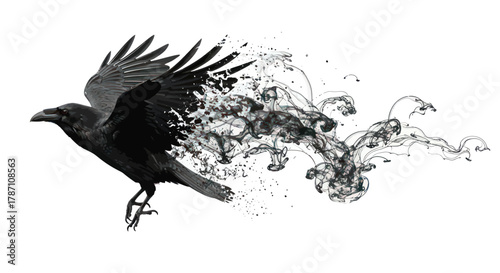 Fotografie Adobe Illustrator Artwork