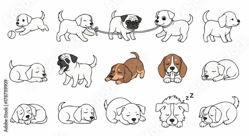 Adorable collection of various dog breeds in playful and sleepy poses.