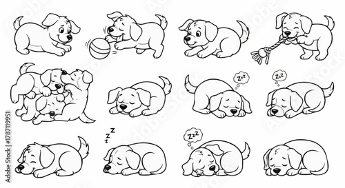 Collection of Adorable Puppy Illustrations in Various Poses and Activities.