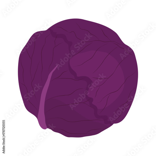 赤キャベツのアイコン　葉物野菜のイラスト素材